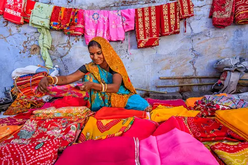 Embracing the Allure of Sarees
